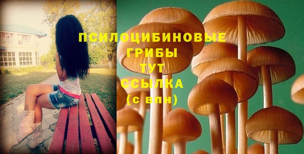 дмт Алексеевка