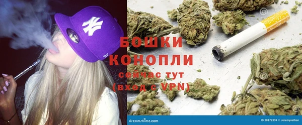 спайс Алзамай