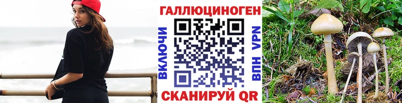 Галлюциногенные грибы Psilocybine cubensis  маркетплейс как зайти  KRAKEN ССЫЛКА  Санкт-Петербург  купить наркотик 