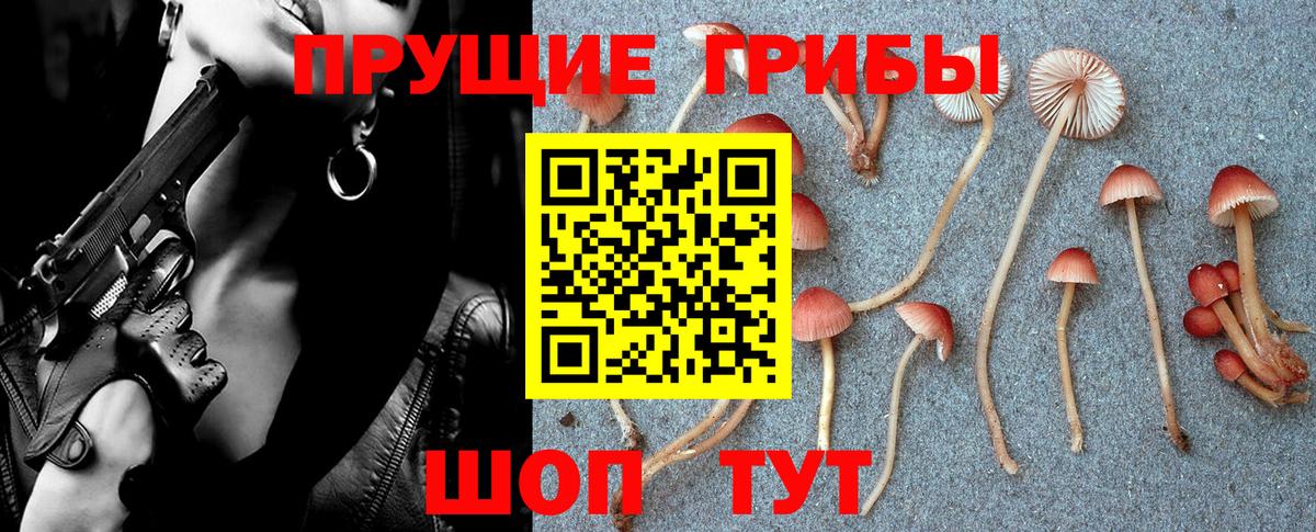 Санкт-Петербург  Псилоцибиновые грибы MAGIC MUSHROOMS  Вход с VPN 