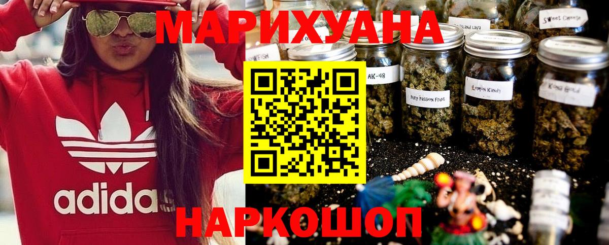 Бошки марихуана конопля Санкт-Петербург